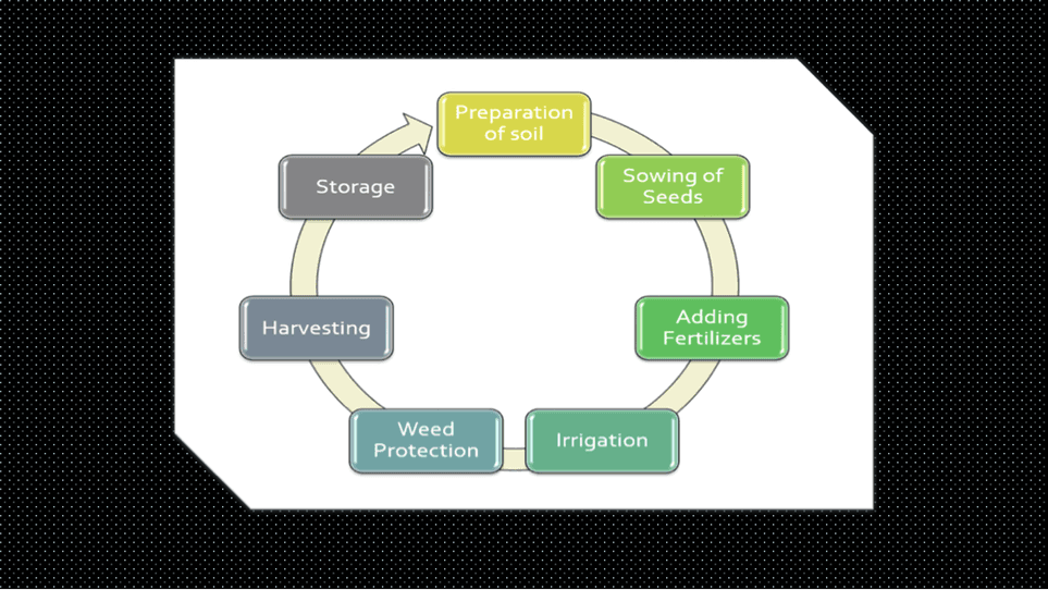 Crop Lifecycle Agtech